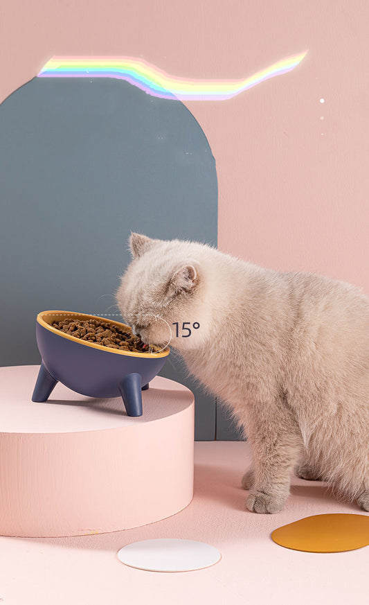 Cat & Dog Feeding Bowl with Stand