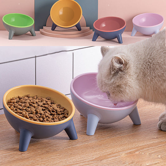 Cat & Dog Feeding Bowl with Stand
