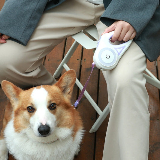 Retractable Dog Leash with Collar & LED Light